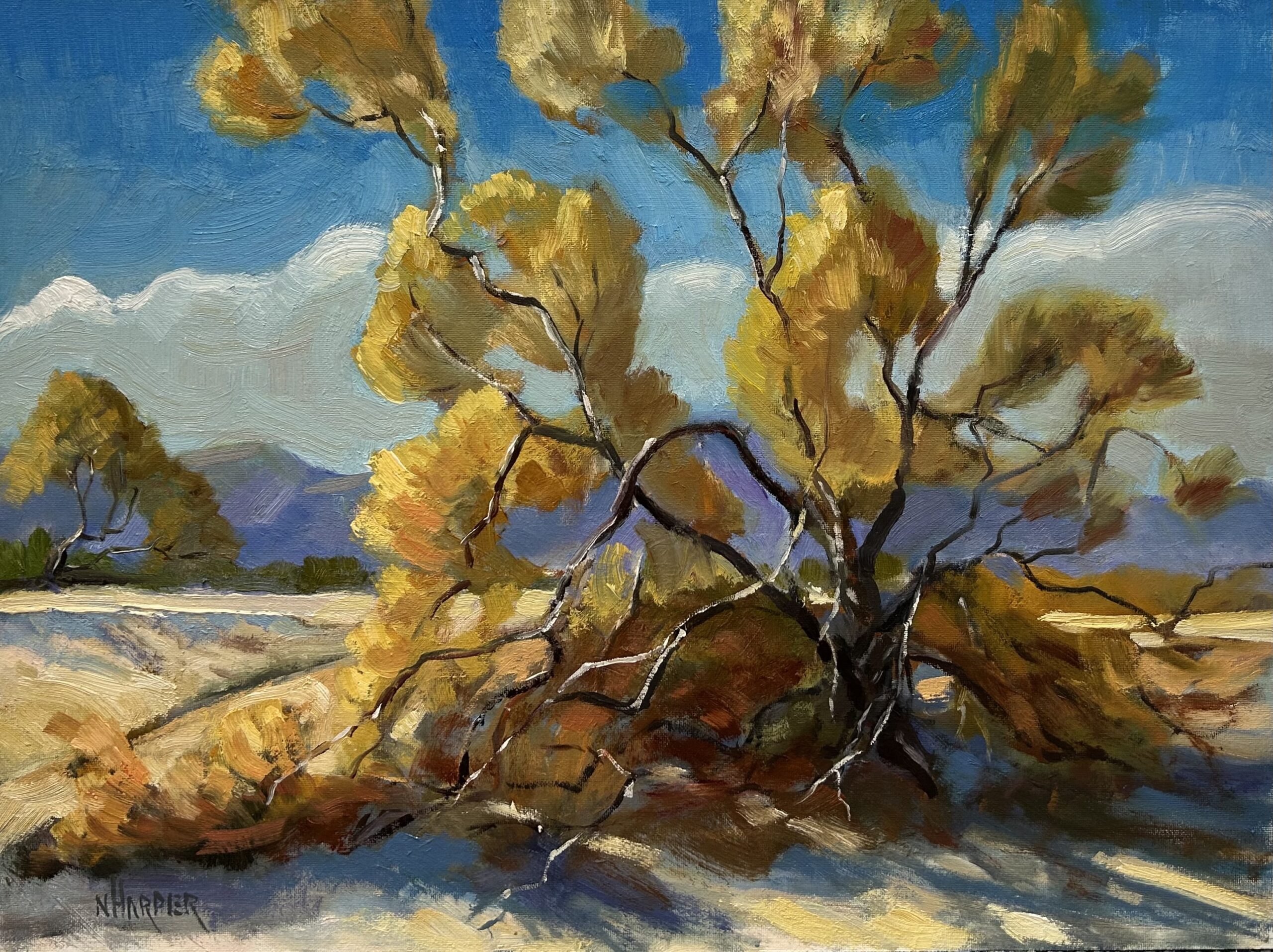 "Desert Gold" by Nita Harper - Borrego Art Institute